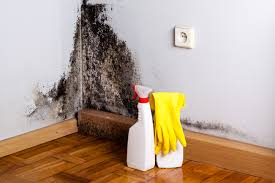 Best Mold Remediation for Healthcare Facilities  in South Lockport, NY